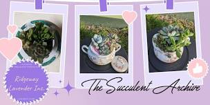 Succulent Workshop - May 25