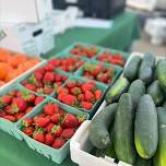 Farmers Market  — City of Rogers, MN