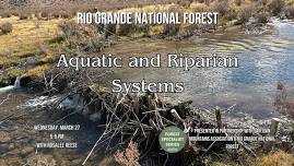 Forest Specialist Series: Aquatic and Riparian Systems