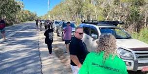 Social Day - Bellthorpe National Park - 4wd tag-along