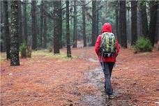 Summer Night Hikes: Fireflies