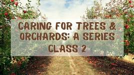 Caring For Trees & Orchards: A Series CLASS 2