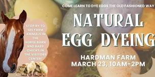 Natural Egg Dyeing