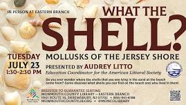 What the Shell? Mollusks of the Jersey Shore