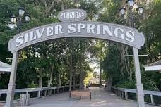 Silver Springs Glass-Bottom Boat Tour: Nature Encounter