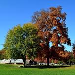 Elizabeth Park Tree Tour