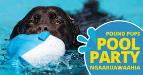 Ngaaruawaahia Pound Pups Pool Party 2024