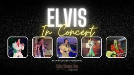 Elvis In Concert