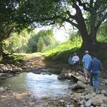 Arroyo Hondo Preserve - Nature Hike