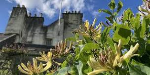 Drawing in the late Summer gardens of Traquair