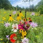 U-Pick Lavender & Wildflowers — Cedar Ridge Trails