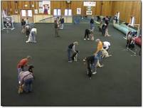 Level II Dog Training Class