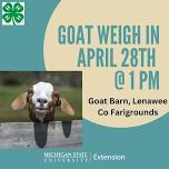 Market Goat Weigh In