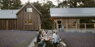 Culinary Experience: Dinner in the Lavender Fields