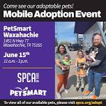 Mobile Adoptions at PetSmart Waxahachie