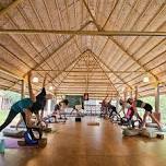 January 2025 - Vinyasa Yoga TTC