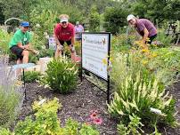 Becoming a Johnson County Extension Master Gardener