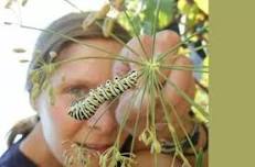 Native Plants for Landscaped Spaces