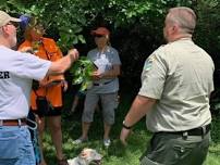 Summer Tree Identification Walk