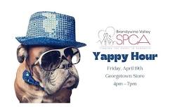 Yappy Hour with Brandywine Valley SPCA