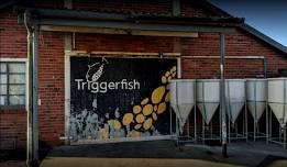 The Farmers Market at Triggerfish