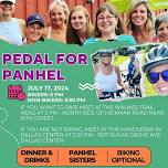 Pedal for Panhel