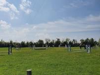 Show Jumping on Grass with Claire Loney at Wick House, 27th July