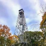 Adult Nature Walk- Ferncliff Forest