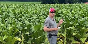 2024 NC State Tobacco Field Day