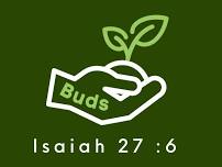 BUDS Children's Ministry — Bramhall Parish Church