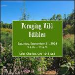 Foraging Wild Edibles