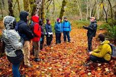 FOREST EDIBLES – Wild Edible and Medicinal Plant, Lichen & Fungi Field Tour