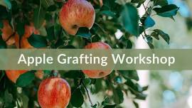 Apple Grafting Workshop