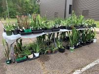 Spring Plant Sale