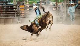 Cheyenne Frontier Days - PBR Monday