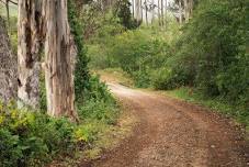 Guided Walk at Burleigh Murray Ranch