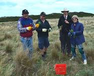 Friends of Scenic Estate Reserve weeding and gorse control