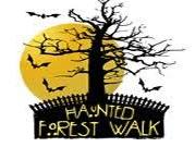 Haunted Forest Walk