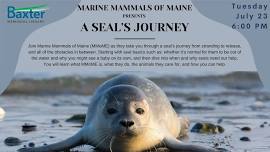 A Seal's Journey