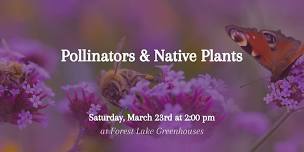 Pollinators and Native Plants,