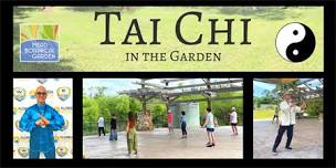 Tai Chi in the Garden