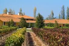 7-Day Santiago, Colchagua Valley & Maipo Valley Exclusive Wine Package