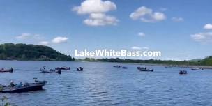 Lake White Wednesday Night Bass Tournaments Sponsored By Bill’s Bait House