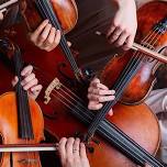 Candlelit String Quartet