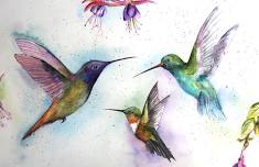 Watercolour Hummingbird Art Class