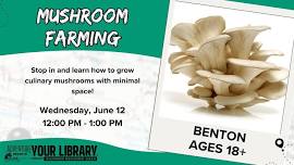 Mushroom Farming June