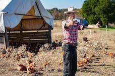 Raising Pastured Poultry in East Texas Workshop