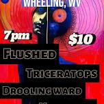 Flushed/Triceratops/Drooling Ward/Knockbox LIVE @ Clientele Art Studio