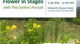 Flower in Stages with The DaVinci Pursuit