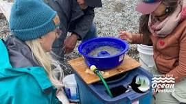 Citizen Science in Action!